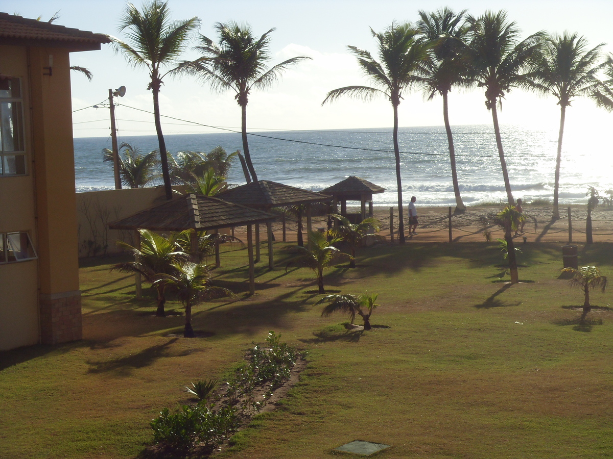Küstenbereich mit Palmen und Meer in Bahia